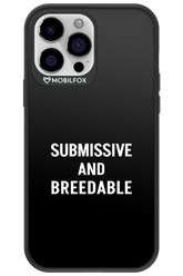 S&B 2.0 - Apple iPhone 13 Pro Max