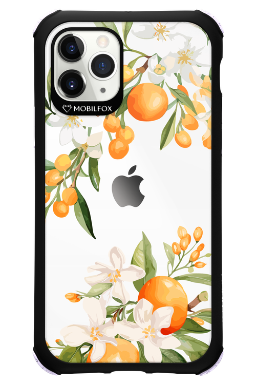 Amalfi Orange - Apple iPhone 11 Pro