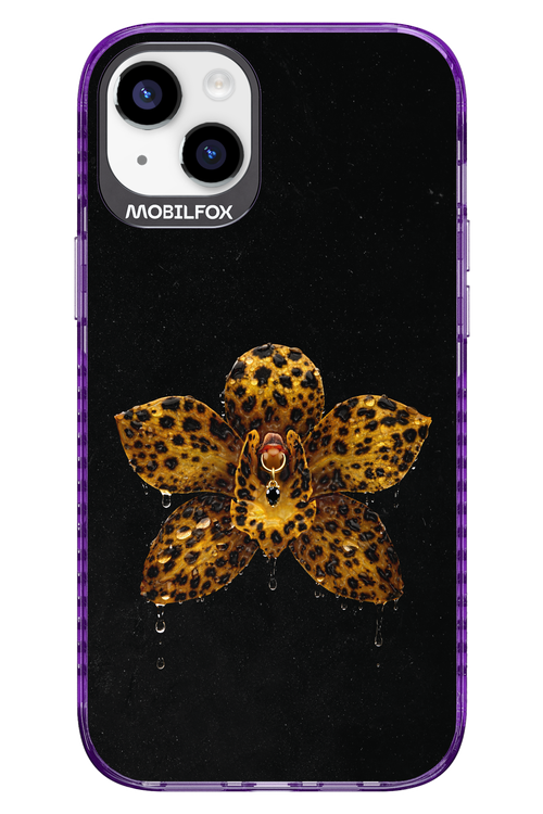 Wet & Wild 2.0 - Apple iPhone 14 Plus