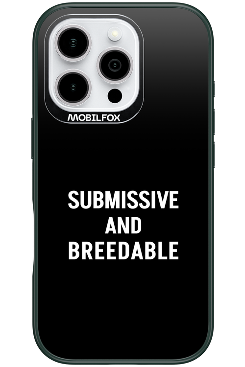 S&B 2.0 - Apple iPhone 16 Pro