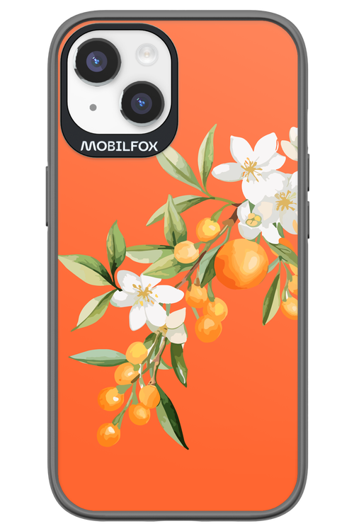 Amalfi Oranges - Apple iPhone 14