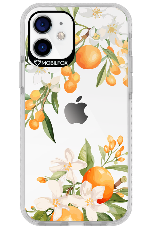 Amalfi Orange - Apple iPhone 12