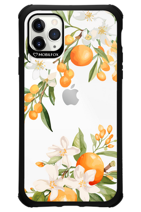Amalfi Orange - Apple iPhone 11 Pro Max