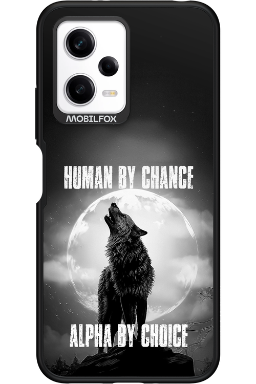 Alpha 2.0 - Xiaomi Redmi Note 12 5G