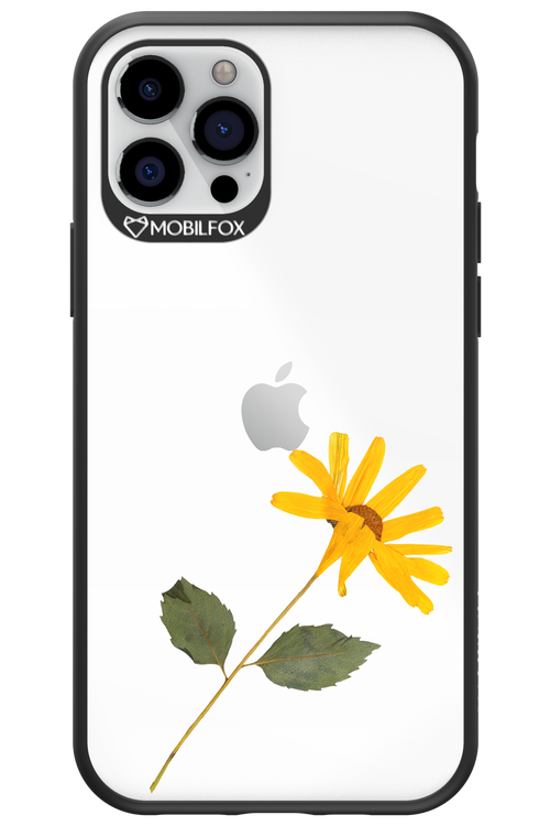 Pressed Flower - Apple iPhone 12 Pro