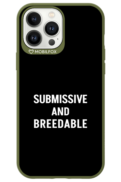 S&B 2.0 - Apple iPhone 13 Pro Max
