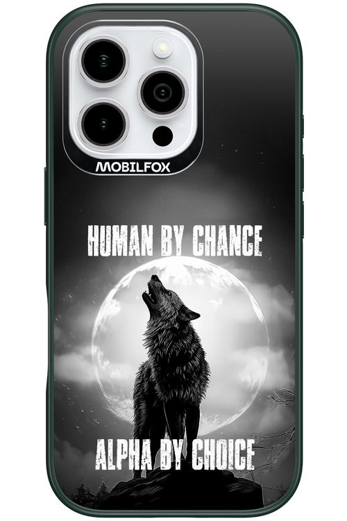Alpha 2.0 - Apple iPhone 16 Pro