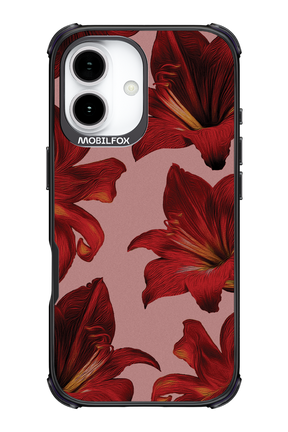 Amaryllis Mist - Apple iPhone 17