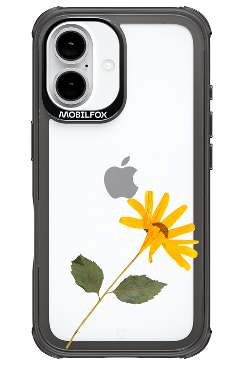 Pressed Flower - Apple iPhone 16