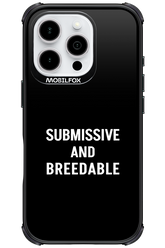 S&B - Apple iPhone 16 Pro