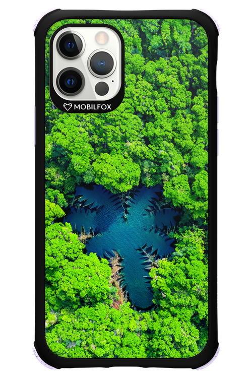 Amazon Echo - Apple iPhone 12 Pro