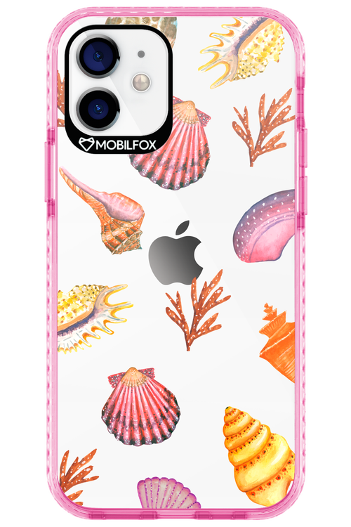 Sea Shells - Apple iPhone 12