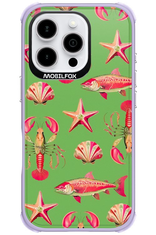 Sea Stars - Apple iPhone 16 Pro