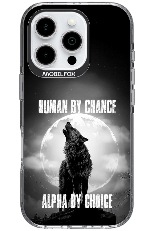 Alpha 2.0 - Apple iPhone 16 Pro