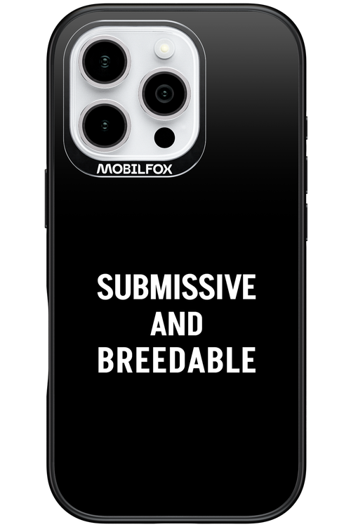 S&B - Apple iPhone 16 Pro