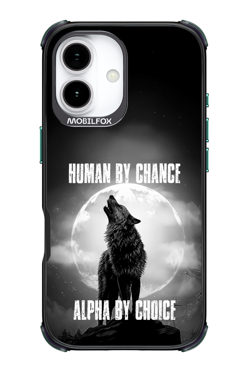 Alpha 2.0 - Apple iPhone 17