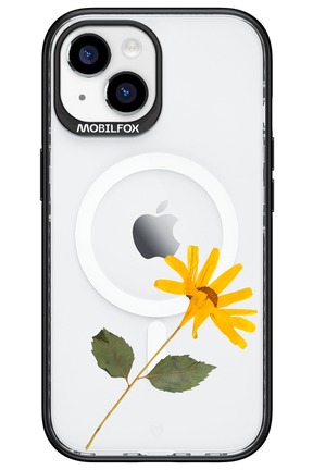 Pressed Flower - Apple iPhone 15