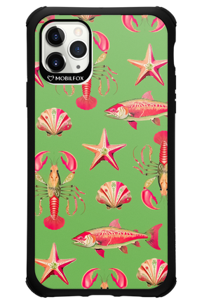 Sea Stars - Apple iPhone 11 Pro Max