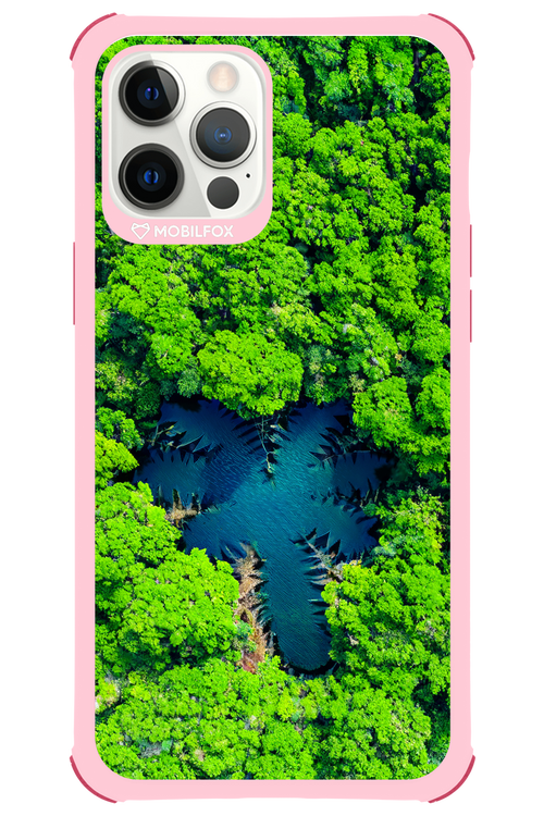 Amazon Echo - Apple iPhone 12 Pro Max