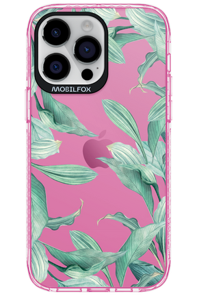 Greenpeace - Apple iPhone 14 Pro Max