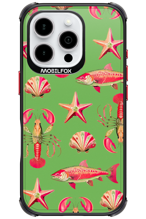 Sea Stars - Apple iPhone 16 Pro
