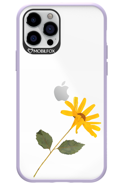 Pressed Flower - Apple iPhone 12 Pro