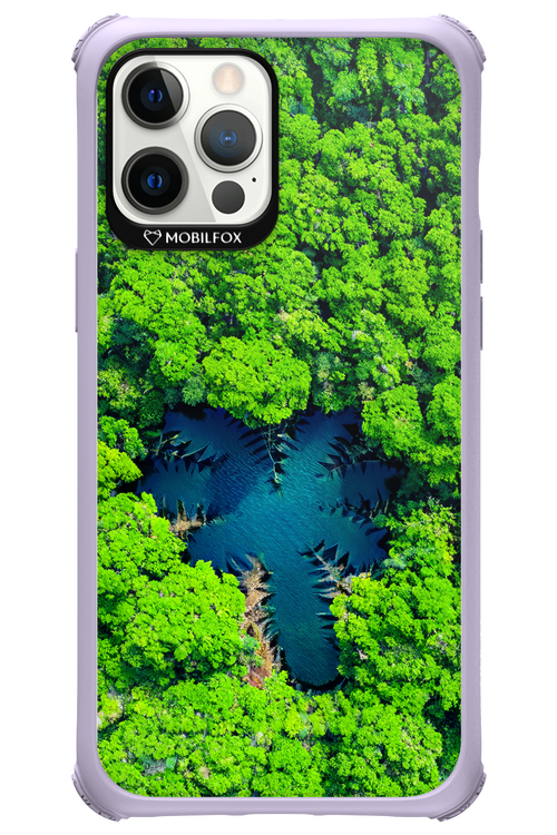 Amazon Echo - Apple iPhone 12 Pro Max