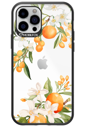 Amalfi Orange 2.0 - Apple iPhone 12 Pro