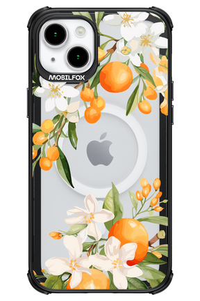 Amalfi Orange - Apple iPhone 15 Plus