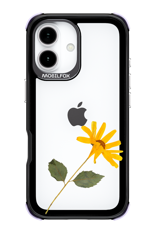 Pressed Flower - Apple iPhone 17