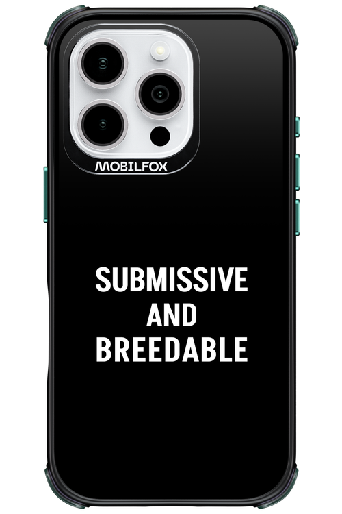 S&B 2.0 - Apple iPhone 16 Pro