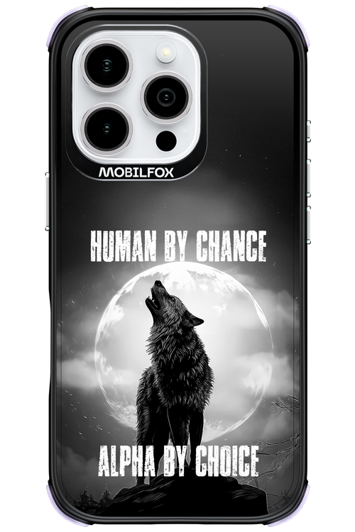 Alpha 2.0 - Apple iPhone 16 Pro