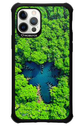 Amazon Echo - Apple iPhone 12 Pro