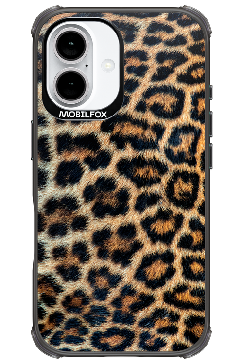 Leopard - Apple iPhone 16