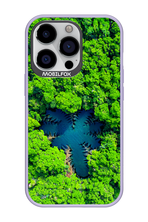 Amazon Echo - Apple iPhone 13 Pro