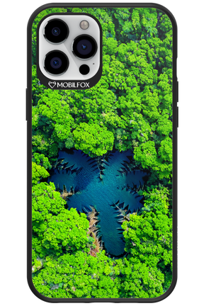 Amazon Echo - Apple iPhone 12 Pro Max