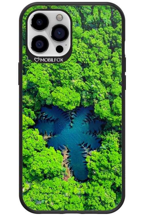 Amazon Echo - Apple iPhone 12 Pro Max