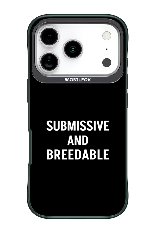 S&B 2.0 - Apple iPhone 17 Pro
