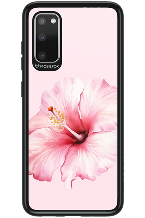 HibiPinky 2.0 - Samsung Galaxy S20