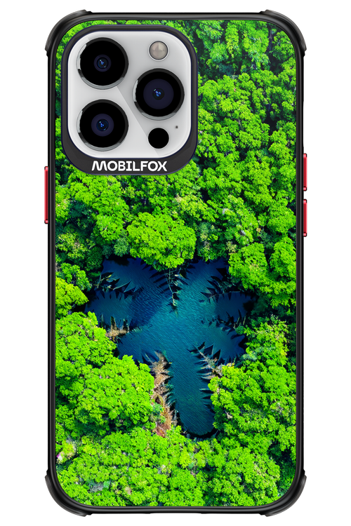 Amazon Echo - Apple iPhone 13 Pro