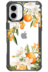 Amalfi Orange - Apple iPhone 16 Plus