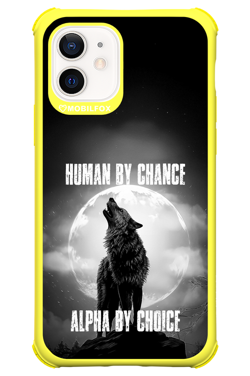 Alpha 2.0 - Apple iPhone 12