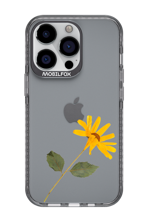 Pressed Flower - Apple iPhone 13 Pro