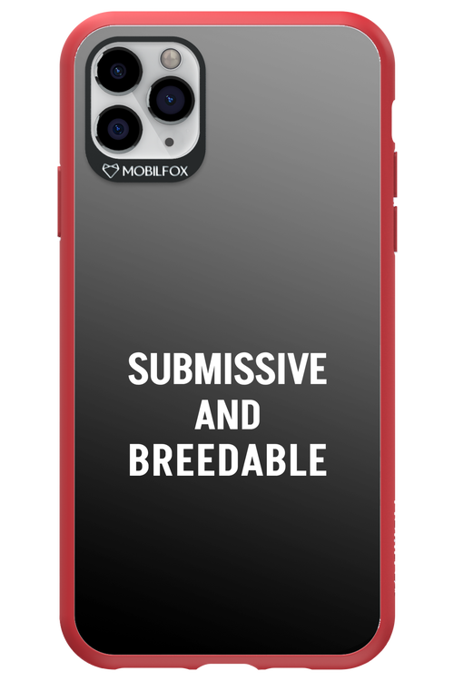 S&B 2.0 - Apple iPhone 11 Pro Max