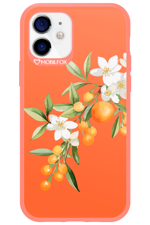 Amalfi Oranges - Apple iPhone 12