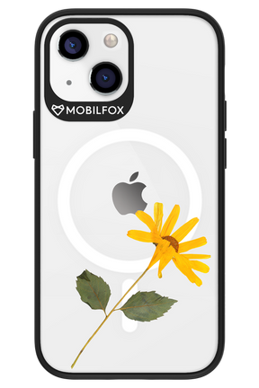 Pressed Flower - Apple iPhone 13 Mini