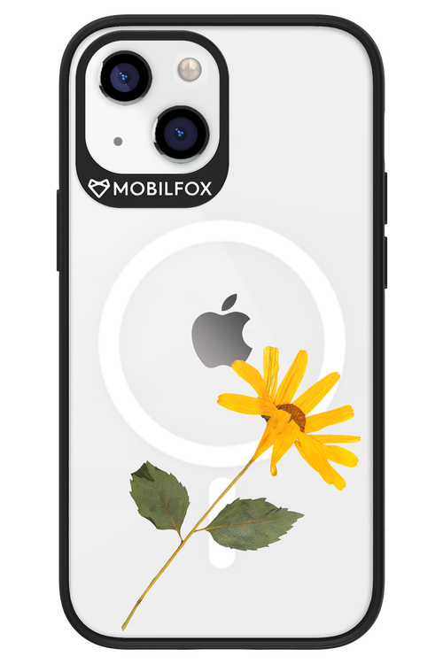 Pressed Flower - Apple iPhone 13 Mini