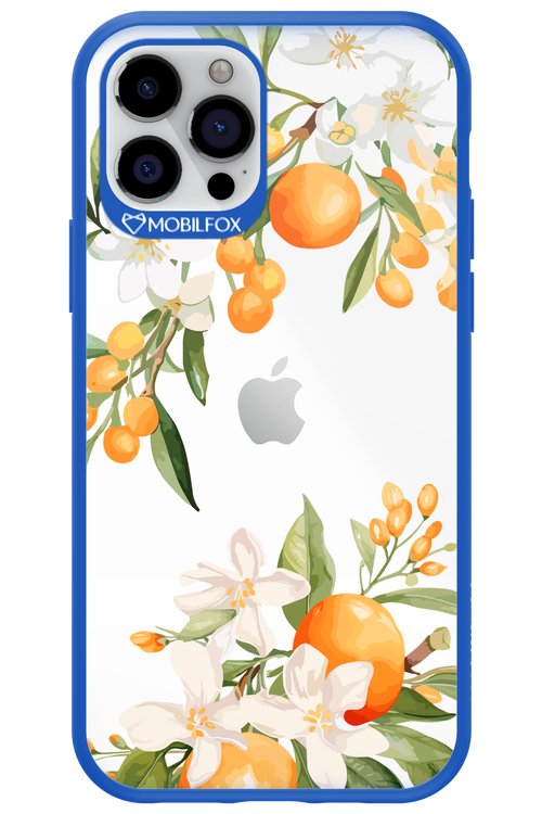 Amalfi Orange - Apple iPhone 12 Pro