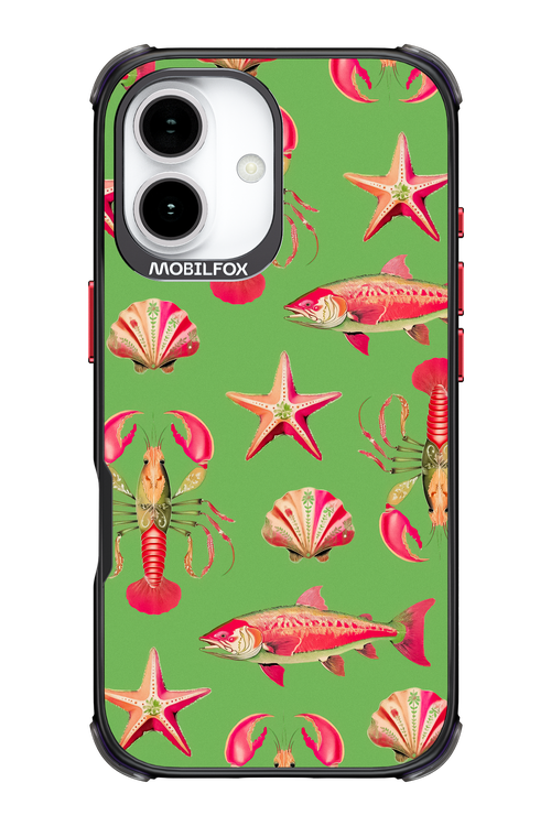 Sea Stars - Apple iPhone 17