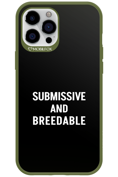 S&B 2.0 - Apple iPhone 12 Pro Max